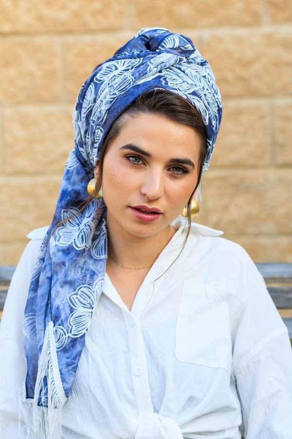 ⁦אסיף תכול מרובע⁩ – תמונה ⁦2⁩