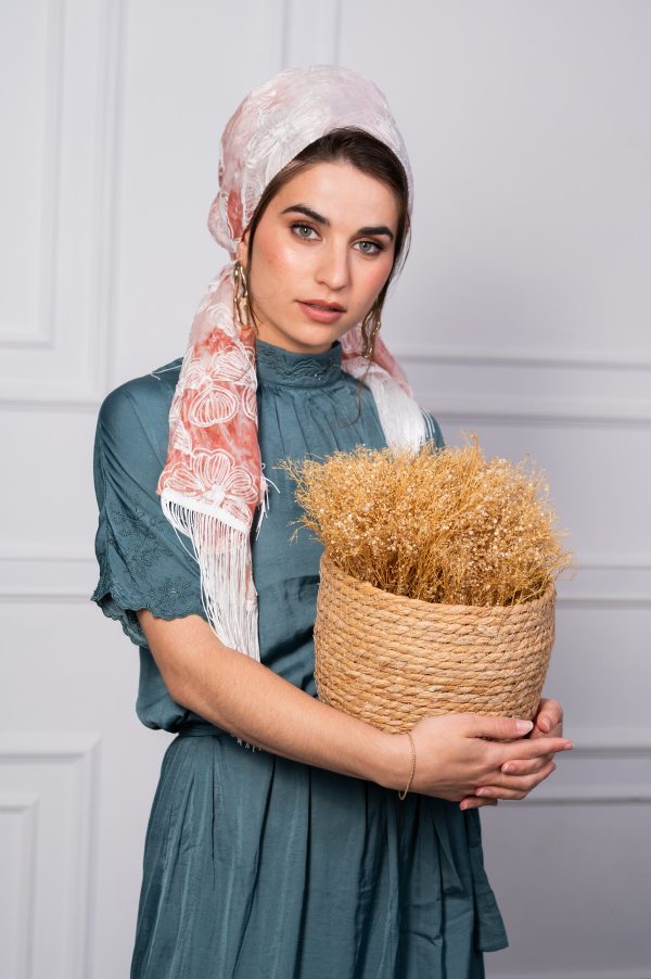 ⁦אסיף אפרסק מלבן⁩ – תמונה ⁦2⁩
