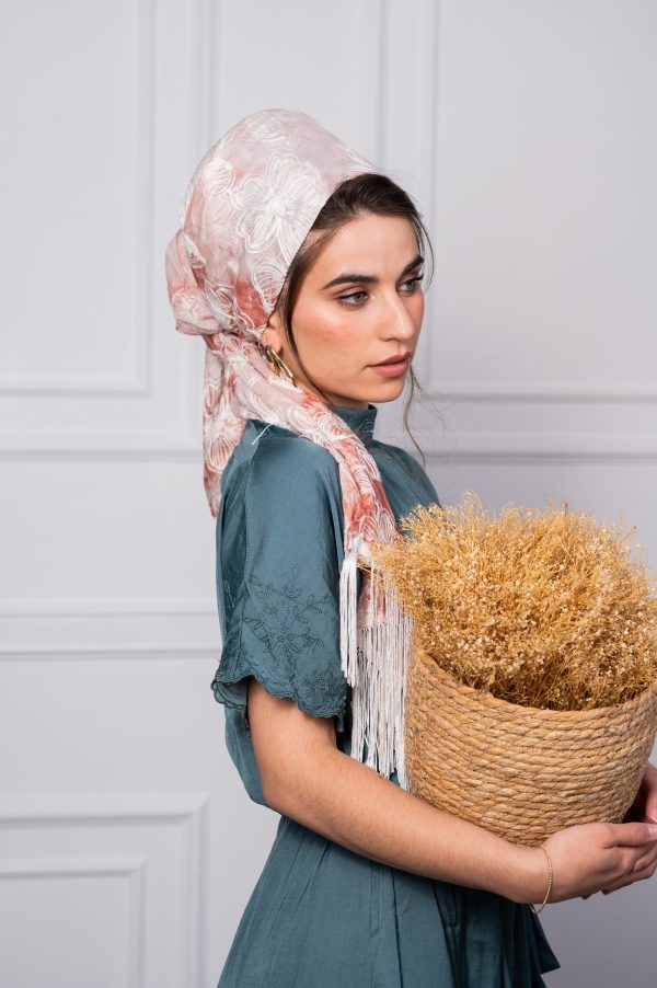 ⁦אסיף אפרסק מלבן⁩ – תמונה ⁦5⁩